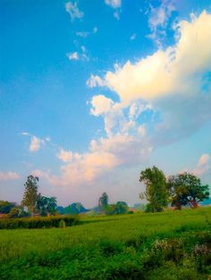 a green field with trees and clouds in the background