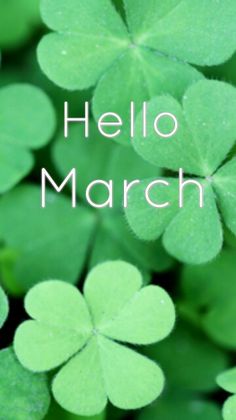 four leaf clovers with the words hello march in white overlayed by green leaves