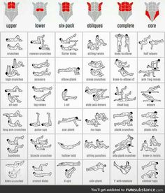 an exercise chart showing the different exercises to do with your bodybuilt muscles