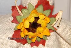 a yellow and red flower on top of a burlock