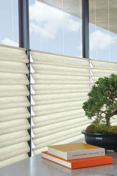 a bonsai tree sits on top of two books in front of a window with blinds