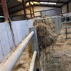 hay is piled up in an enclosure at a farm, with metal pipes running through it