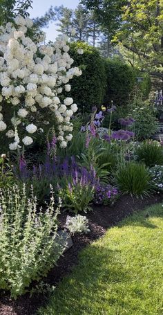 the garden is full of white flowers and purple plants, with words written below it