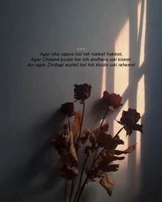 a vase filled with flowers sitting on top of a white wall next to a window