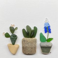 three small rocks with plants in them on a white surface, one has blue flowers and the other has green leaves