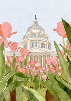 a painting of the capitol building in washington d c with pink flowers and green leaves