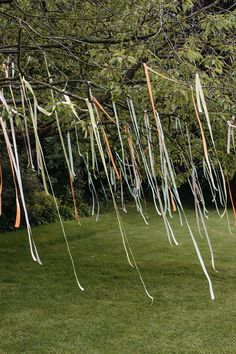 streamers are hanging from the branches of a tree