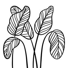 three flowers with leaves on the stems coloring page