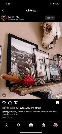 an instagram page with pictures and other things on the shelf above it, including flowers