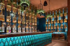 a bar with many bottles on the shelves and plants hanging from the ceiling above it