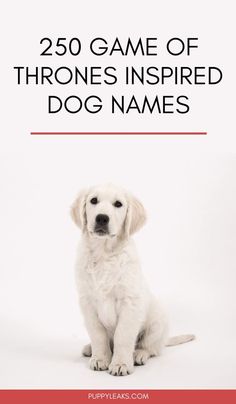 Are you a fan of Game of ThronesIf so why not give your dog a name inspired by the showThis list has names from both the television show and booksHere's 250 Game of Thrones dog name ideasdogs puppies names GOT Puppies Names, Dog Whisperer, Easiest Dogs To Train, Puppy Training Tips, Fun Dog, Dog Care Tips, Mom Tips, Dog Obedience