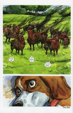 a comic strip with an image of a dog and some cows in the field, one is looking at the camera