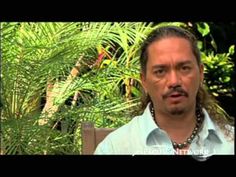 a man with long hair sitting down in front of plants and trees, talking to the camera