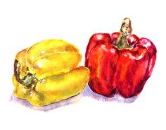 two peppers and one pepper are shown in this drawing