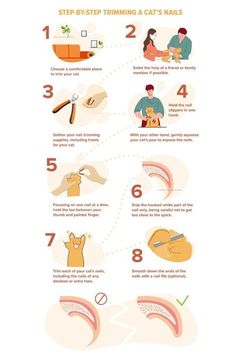 the steps to trim your cat's nails are shown in this info sheet, with instructions