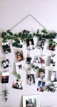 a bunch of photos hanging on a wall with some plants in it and pictures pinned to the wall