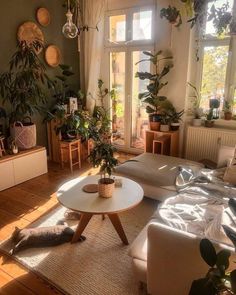 a living room filled with furniture and lots of plants on the windows sills