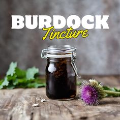 Burdock Tincture 🌿✨ I have a very precious relationship with Burdock. It was the first herb I ever studied and the first tincture I ever made. 💚💚 During the cold and flu season, I decided to try it before I popped an Ibuprofen. Within an hour my sore throat vanished. 🥶🤧 Burdock Tincture, Burdock Root Tincture, Burdock Root Recipes, Backyard Herbs, Herbal Vinegar, Herb Tinctures