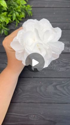 a person holding a white flower in their hand