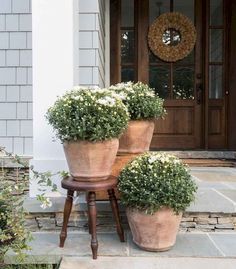 three large potted plants sitting on top of a wooden stool in front of a door