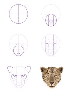 how to draw a leopard's face in 3 easy steps step by step instructions