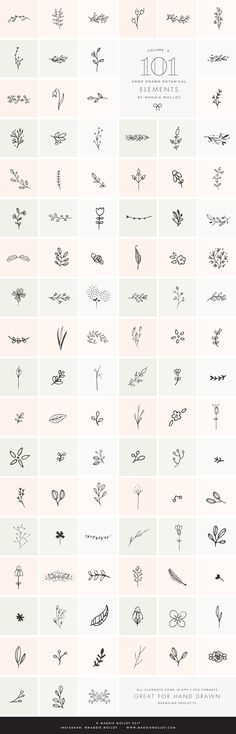 the different types of flowers are shown in black and white