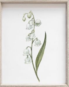 a watercolor painting of a white flower in a wooden frame on a white wall