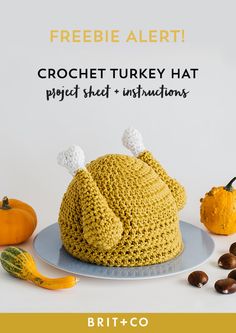 a crochet turkey hat sits on a plate with nuts and pumpkins around it