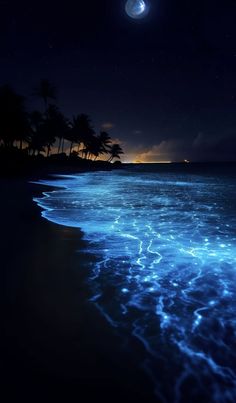 the night sky is lit up over the ocean