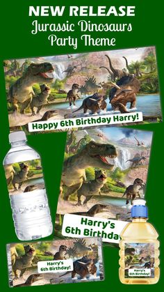 dinosaur birthday party package with water bottle and place cards for each child's name