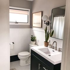 a white toilet sitting next to a bathroom sink under a window with a potted plant on top of it