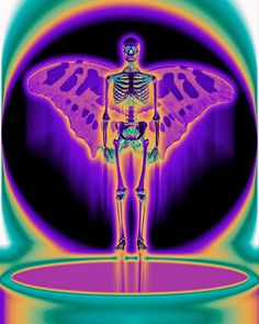 an image of a skeleton with a butterfly on it's chest and wings in the shape of a human body