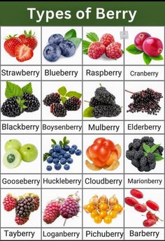 different types of berries are shown in this chart, with the names and pictures below