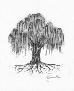 a drawing of a tree with its roots exposed