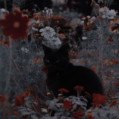 a black cat sitting in the middle of flowers