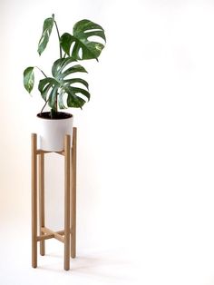 a potted plant sitting on top of a wooden stand next to a white wall