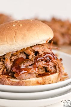 a pulled pork sandwich on a plate