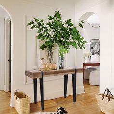 there is a plant on the table in the living room with other furniture and accessories