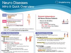 Med Surg Study Guides - Google Drive Autonomic Dysreflexia, Cardiac Anatomy, Gait Training, Bells Palsy, Nclex Prep, Nursing School Essential, Peripheral Nervous System, Body Attack, Name Folder