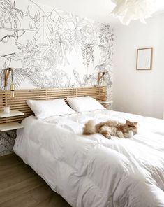 a cat laying on top of a bed in a bedroom