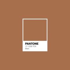 pantone's brown color is shown with the white square in the bottom corner