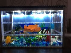 a fish tank filled with different types of marine life