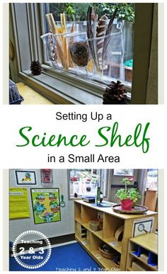 the science shelf in a small area with text overlay reading setting up a science shelf in a small area