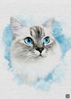 a watercolor painting of a white cat with blue eyes