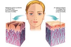 Do you want to know how to rebuild collagen in the face? This post gives you seven simple steps you can start today to start increasing your Saggy Skin, Aging Cream, Anti Aging Beauty, Anti Aging Tips, Facial Massage, Face Skin Care