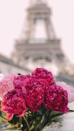 pink flowers in front of the eiffel tower