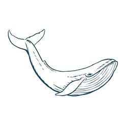 a drawing of a whale's tail