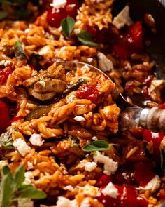 a close up of food in a skillet with a spoon on the side that is filled with rice and vegetables