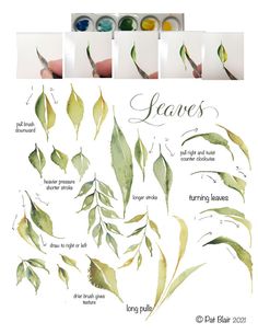 the stages of painting leaves with acrylic paint and watercolors on paper