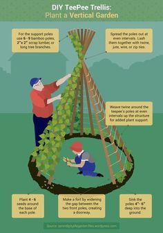 an info poster showing how to plant a vertical trellis in the garden, with instructions for